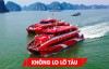 Tàu Havaco - Không lo lỡ tàu